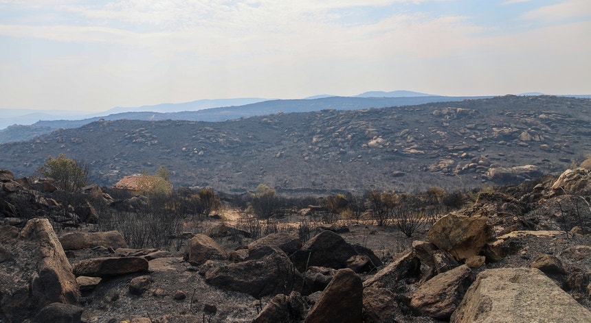 Meia centena de concelhos em perigo máximo de incêndio