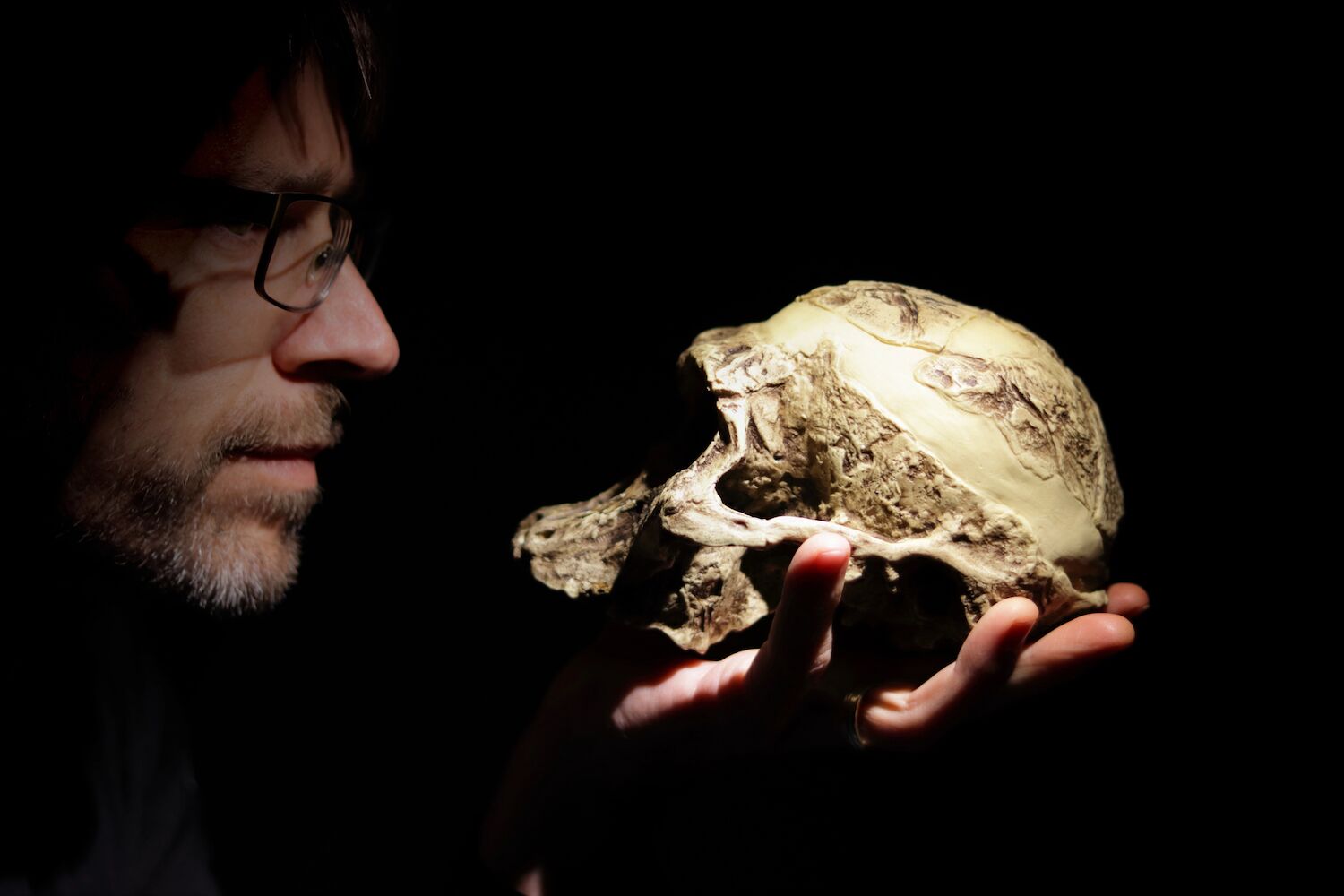 Os nossos ancestrais viveram lado a lado com um hominídeo misterioso