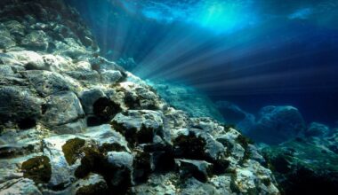 Gigantescos pedaços do fundo do mar estão misteriosamente de pernas para o ar
