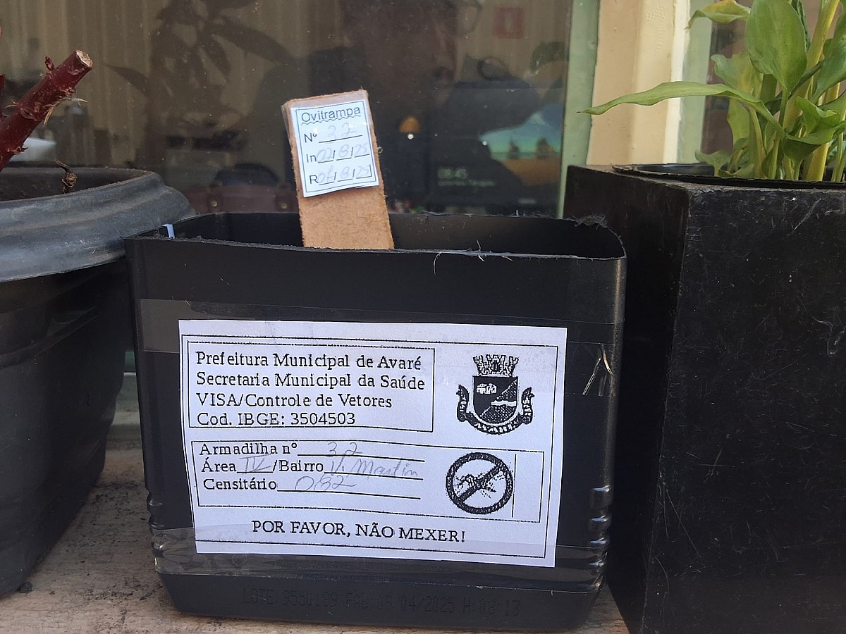 Vigilância Sanitária instala armadilhas para captura de ovos do Aedes aegypti