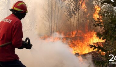 PJ detém homem suspeito de atear incêndio florestal em Loulé - Atualidade