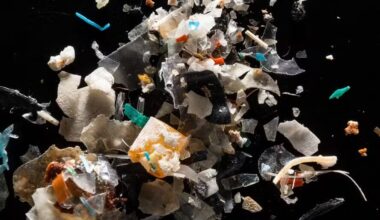 estudo mostra quantos microplásticos ingerimos por dia
