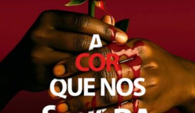 Livro de Daniel Tonetto é a obra de ficção mais vendida do Brasil – Jornal do Garcia