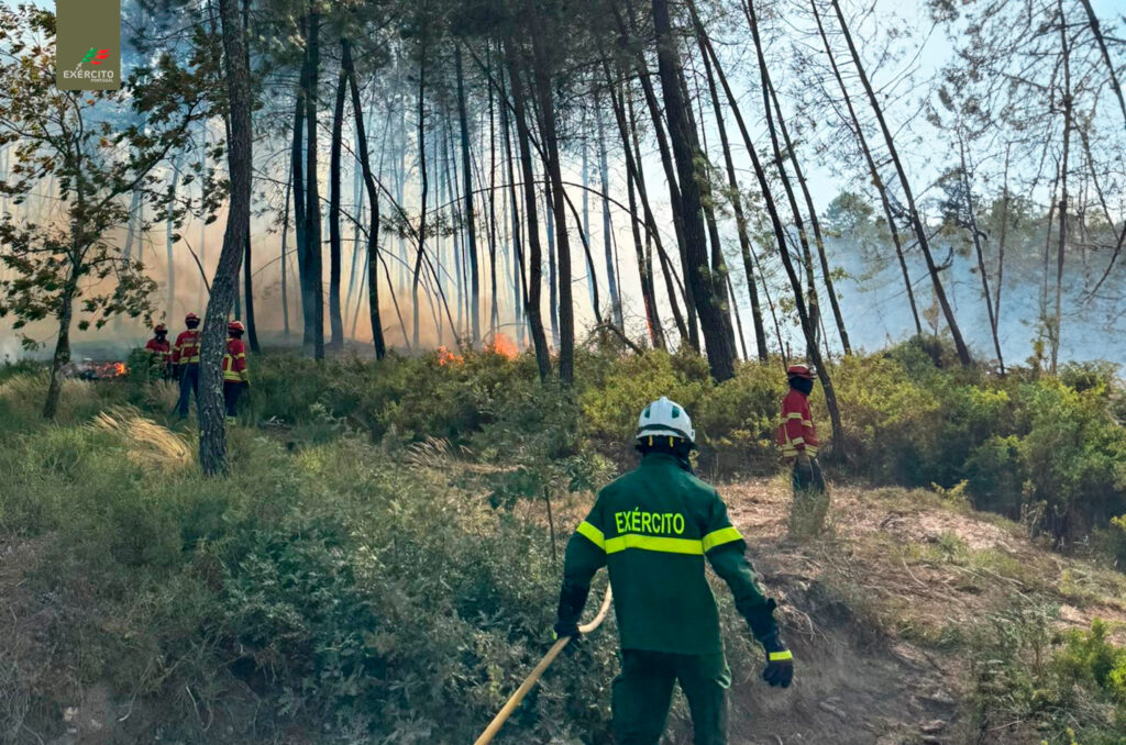 Exército está por todo o minho a combater incêndios
