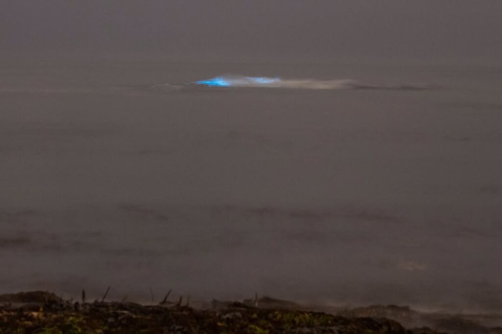 Mar de vila do conde com ondas azuis fluorescentes