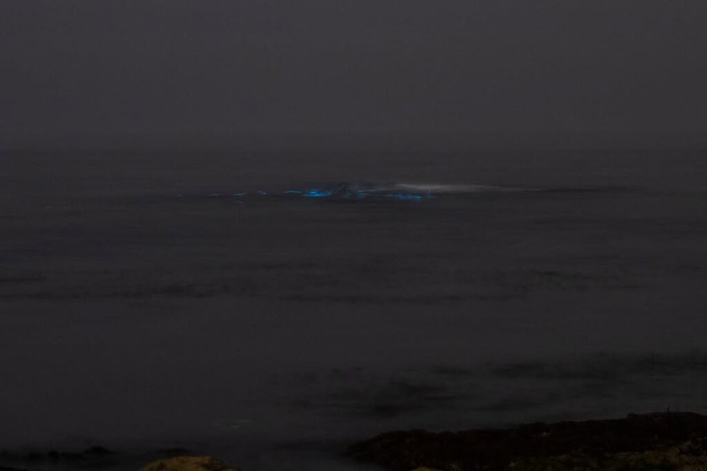 Mar de vila do conde com ondas azuis fluorescentes