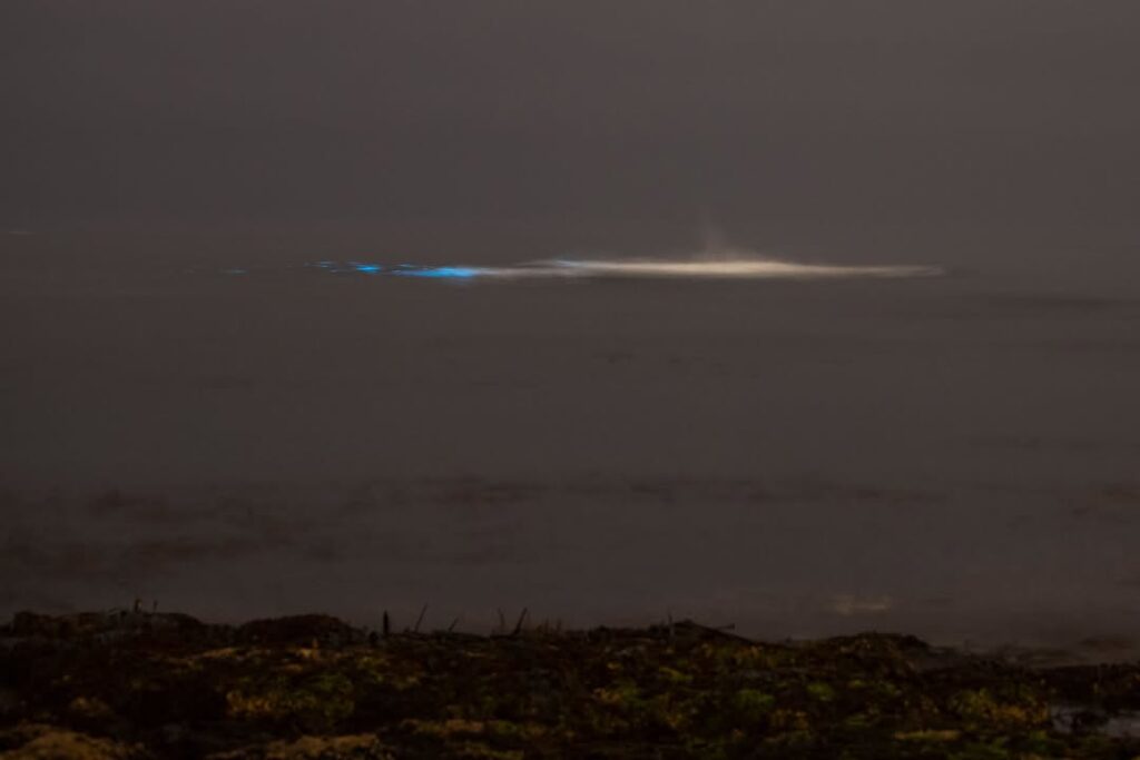 Mar de vila do conde com ondas azuis fluorescentes