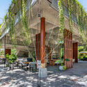 Café & Restaurante Phum Sambo / Khoan + Partners - Fotografia de Exterior, Jardim, Viga, Aido