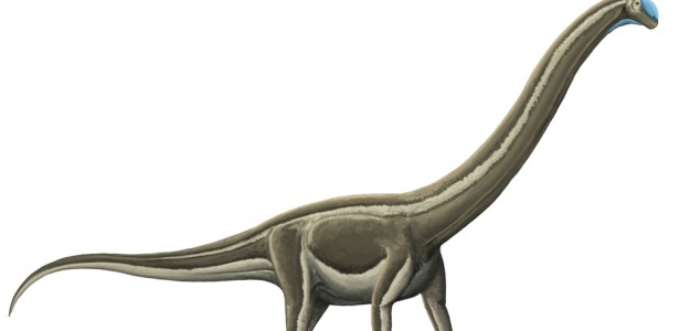 Doença óssea mortal dizimou dinossauros pescoçudos no atual interior de São Paulo