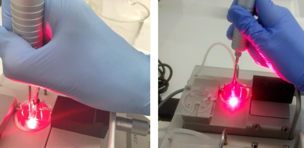 Estudo com animais indica que laser ajuda a combater hipertensão desencadeada pela menopausa