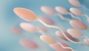 Falta de proteína na gravidez e lactação pode comprometer viabilidade de espermatozoides