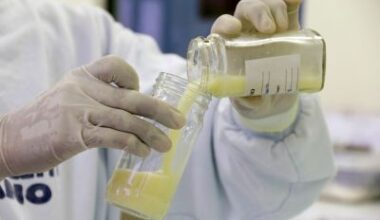 Sespa fortalece 'corrente da vida' com ações para incentivar o aleitamento materno