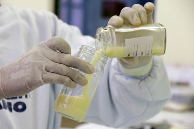 Sespa fortalece 'corrente da vida' com ações para incentivar o aleitamento materno
