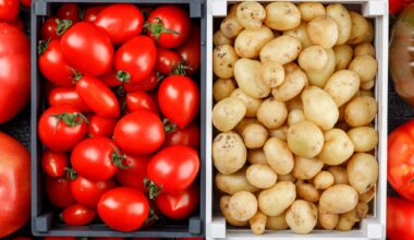 'DNA de tomate' está na origem da batata; entenda revelação de estudo com mais de 500 genomas - G1