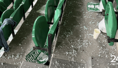 Adeptos do Sporting feridos após queda de vidros durante festejos de golo do F. C. Porto em Alvalade - Desporto