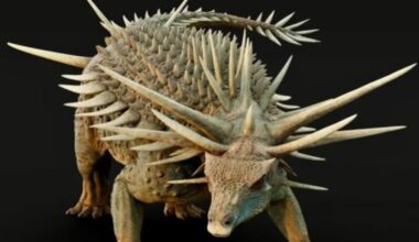 Dinossauro 'punk' com espinhos gigantes choca cientistas