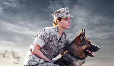 Sessão da Tarde hoje (20/08): Megan Leavey, filme baseado em fatos reais, tem ligação com Harry Potter e o universo Marvel - Notícias de cinema