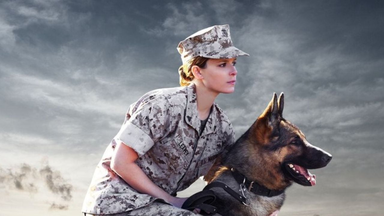 Sessão da Tarde hoje (20/08): Megan Leavey, filme baseado em fatos reais, tem ligação com Harry Potter e o universo Marvel - Notícias de cinema