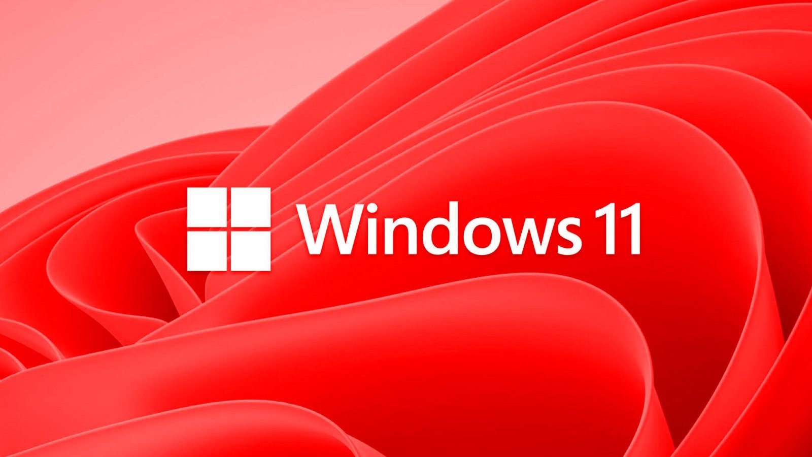 Windows 11: última atualização de segurança está causando erros graves em SSDs