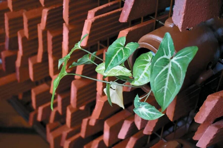 A maior arma contra o calor: terracota, usada para proteger o primeiro imperador chinês