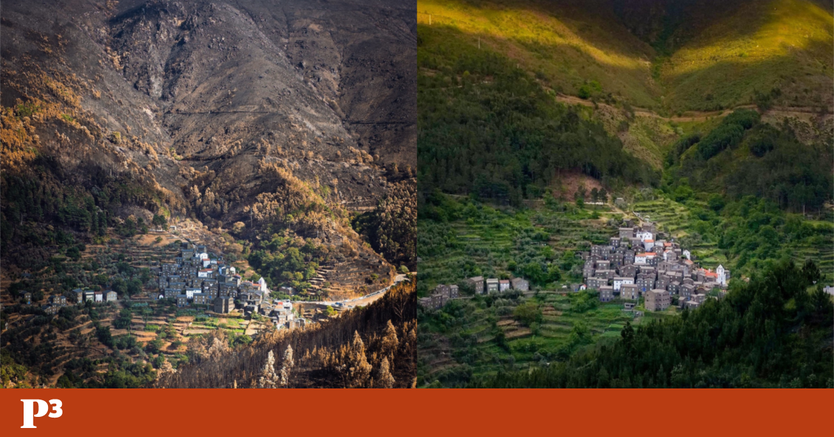 O antes e depois do incêndio de Piódão, pela lente de um bombeiro feito fotógrafo | Fotogaleria