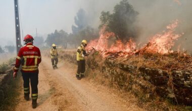A economia das "tostas com abacate" reflete-se nos fogos: roçar mato já não compensa