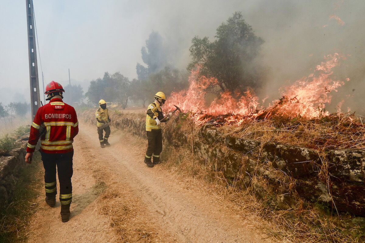 A economia das "tostas com abacate" reflete-se nos fogos: roçar mato já não compensa