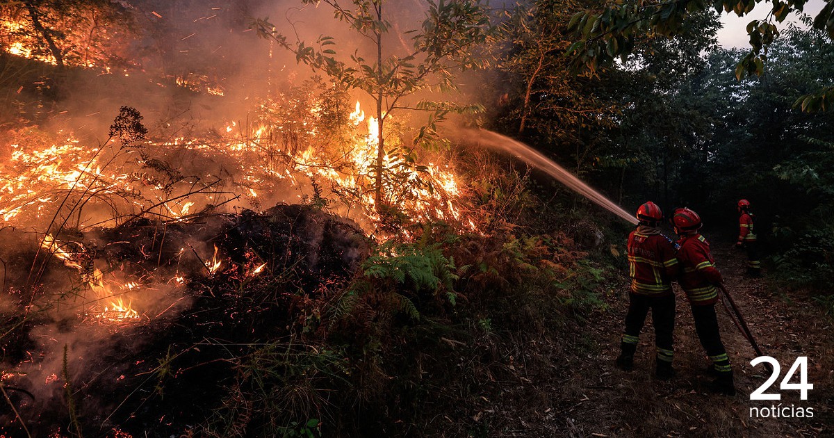 Autarca revela falta de bombeiros, com aldeia de Santa Comba da Vilariça cercada pelo fogo - Atualidade
