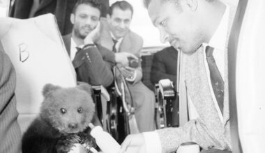 É Dia da Fotografia e encontrámos um urso no autocarro do Benfica