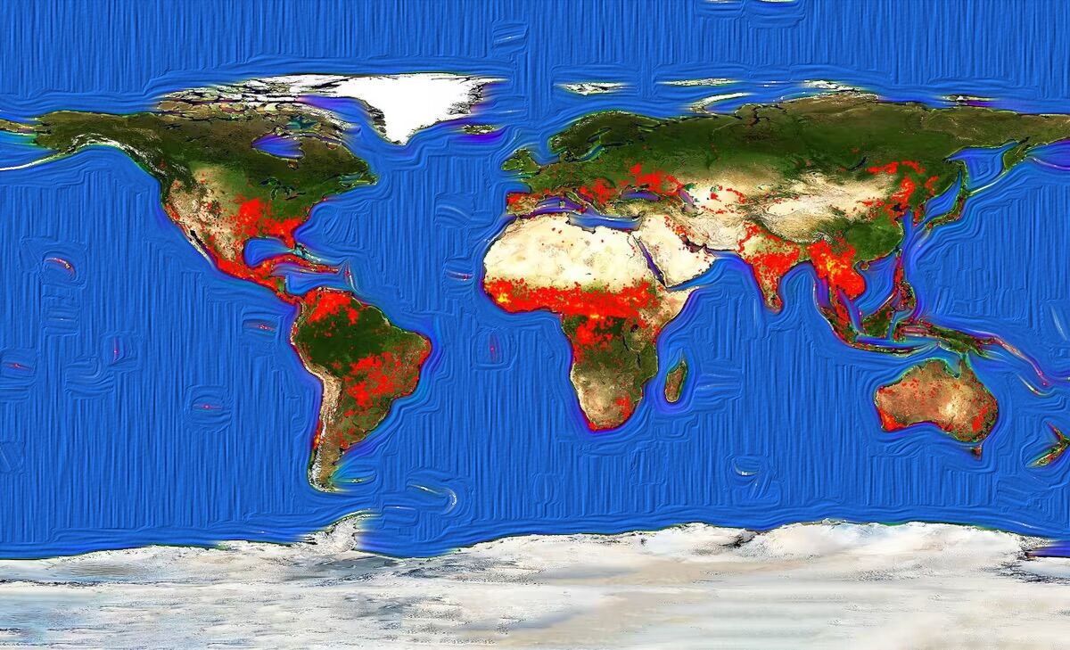 "Paradoxo dos incêndios florestais" tenta explicar porque o Mundo está a arder