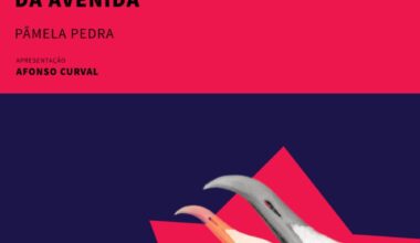 APRESENTAÇÃO DO LIVRO: