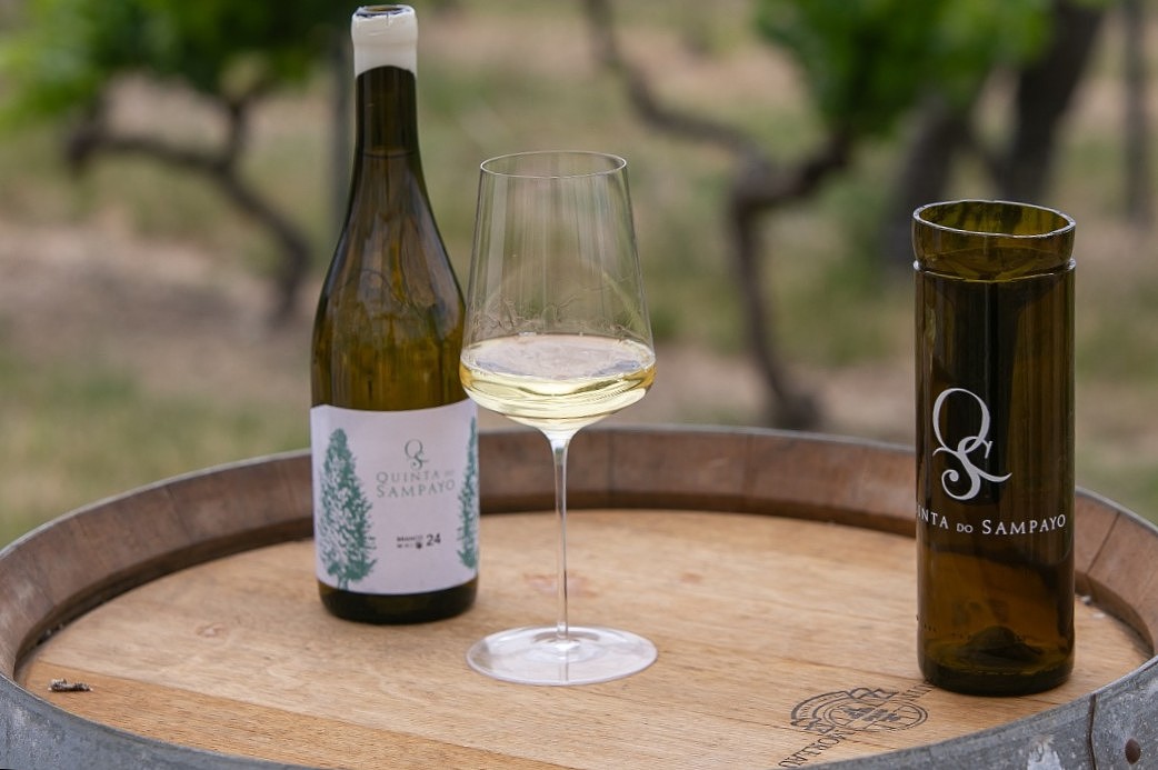 Na Quinta do Sampayo, a regeneração dita o futuro do vinho