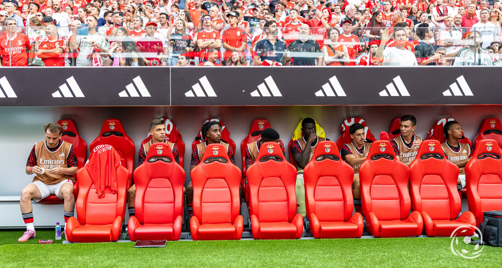 reforço do Benfica ainda não foi lançado por Bruno Lage