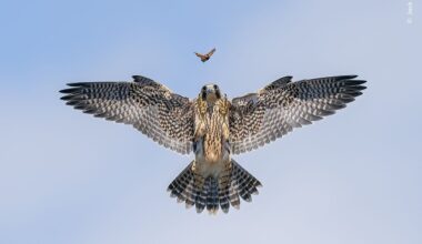 Padre é afastado por suspeita de "conduta incompatível" com igreja