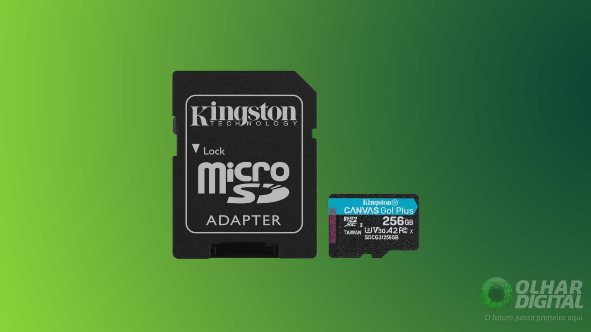 Cartão Kingston Canvas Go! Plus