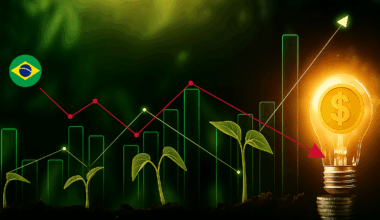 Na contramão do sucesso: Lições de como NÃO atrair investidores