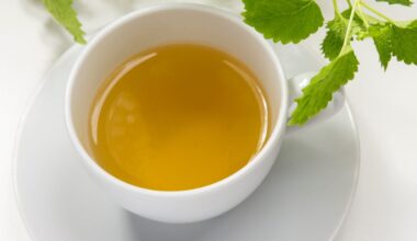 Cultivar sua própria melissa fácil e relaxante