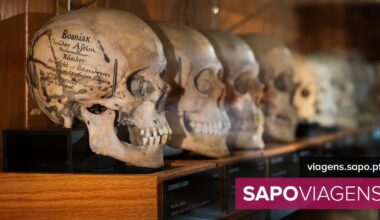 Tirar restos mortais do anonimato. Museu norte-americano enfrenta debate ético - Notícias