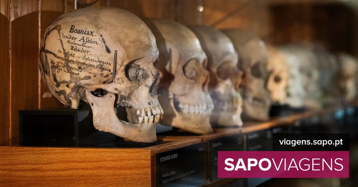 Tirar restos mortais do anonimato. Museu norte-americano enfrenta debate ético - Notícias