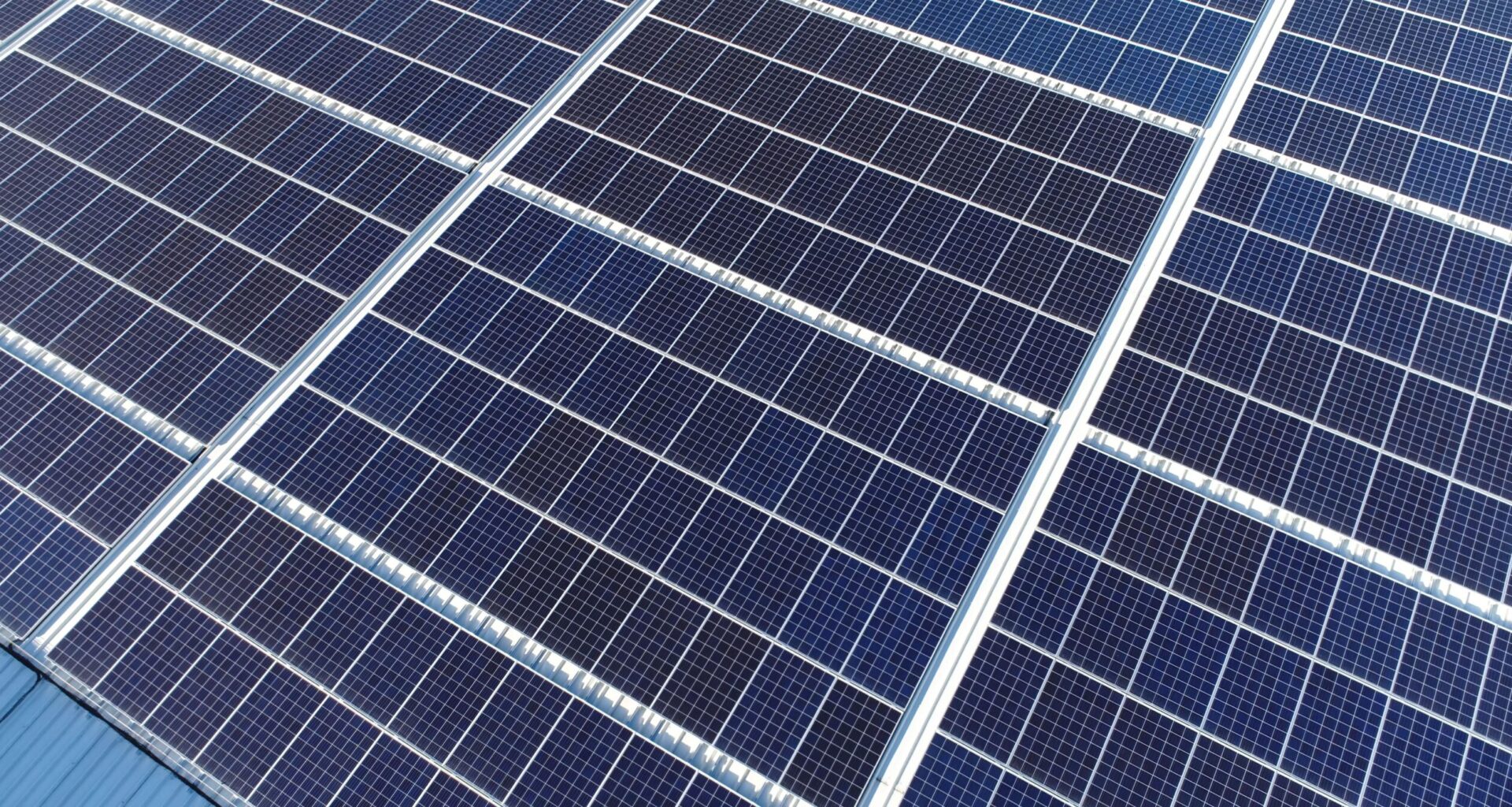 Portuguesa das saladas embaladas Vitacress investe 300 mil euros em parque solar, em parceria com a dstsolar