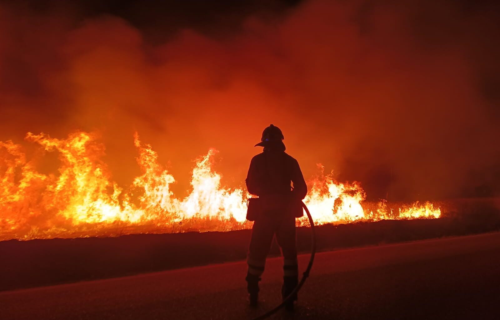 Incêndios: Sabugal pondera pedir situação de calamidade