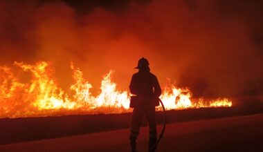 Incêndios: Sabugal pondera pedir situação de calamidade