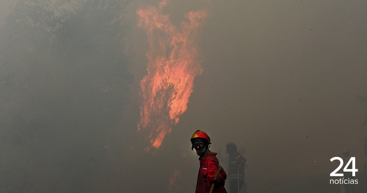 Homem detido em flagrante por provocar incêndio florestal em Chaves - Atualidade
