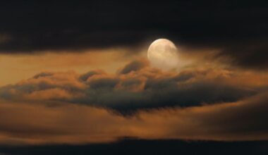 Fase da Lua hoje: 31/08/2025