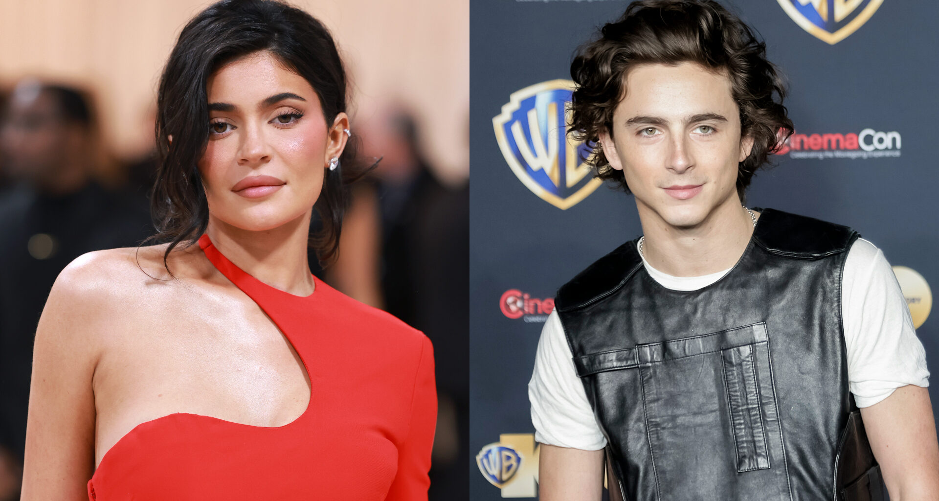 Kylie Jenner e Timothée Chalamet