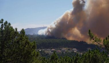 Pneumologista alerta que grupos de risco devem abandonar zonas de incêndio