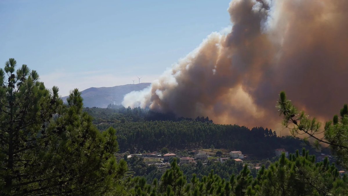 Pneumologista alerta que grupos de risco devem abandonar zonas de incêndio