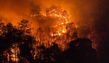 Espanha declara zona de catástrofe áreas afetadas por 113 grandes fogos