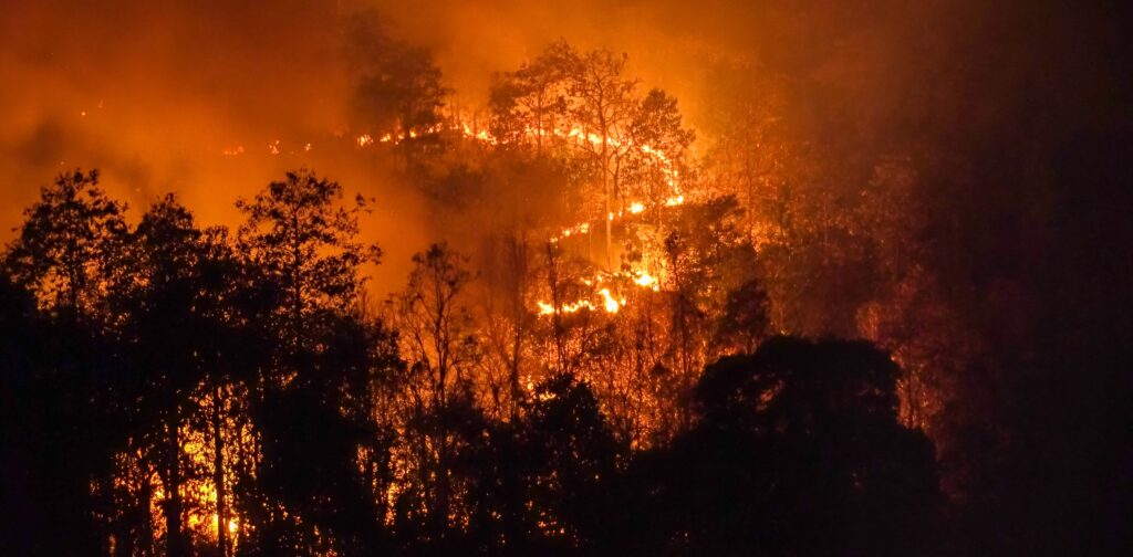 Espanha declara zona de catástrofe áreas afetadas por 113 grandes fogos