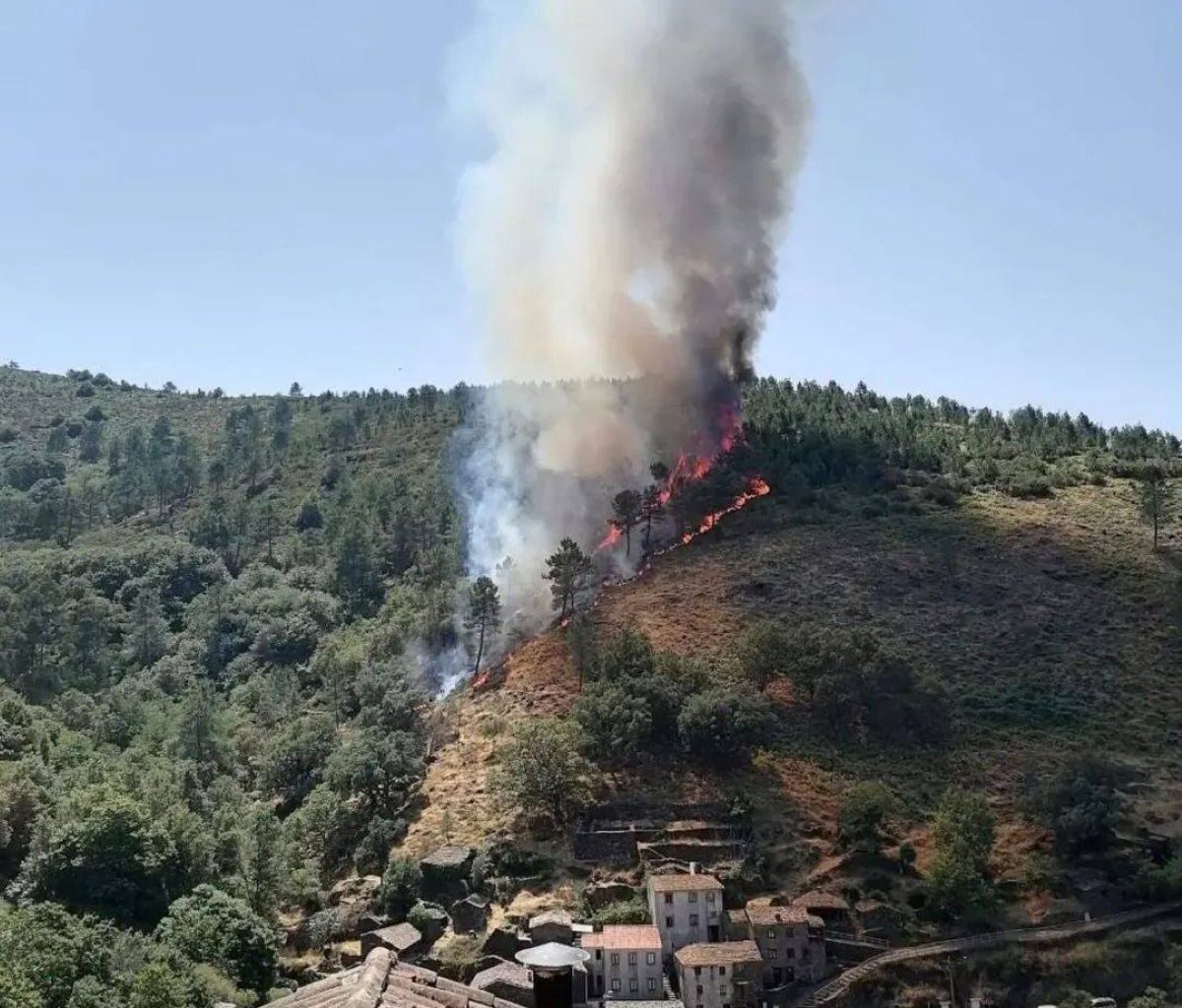 Incêndio no Candal avança em direção a Castanheira de Pera – Notícias de Coimbra
